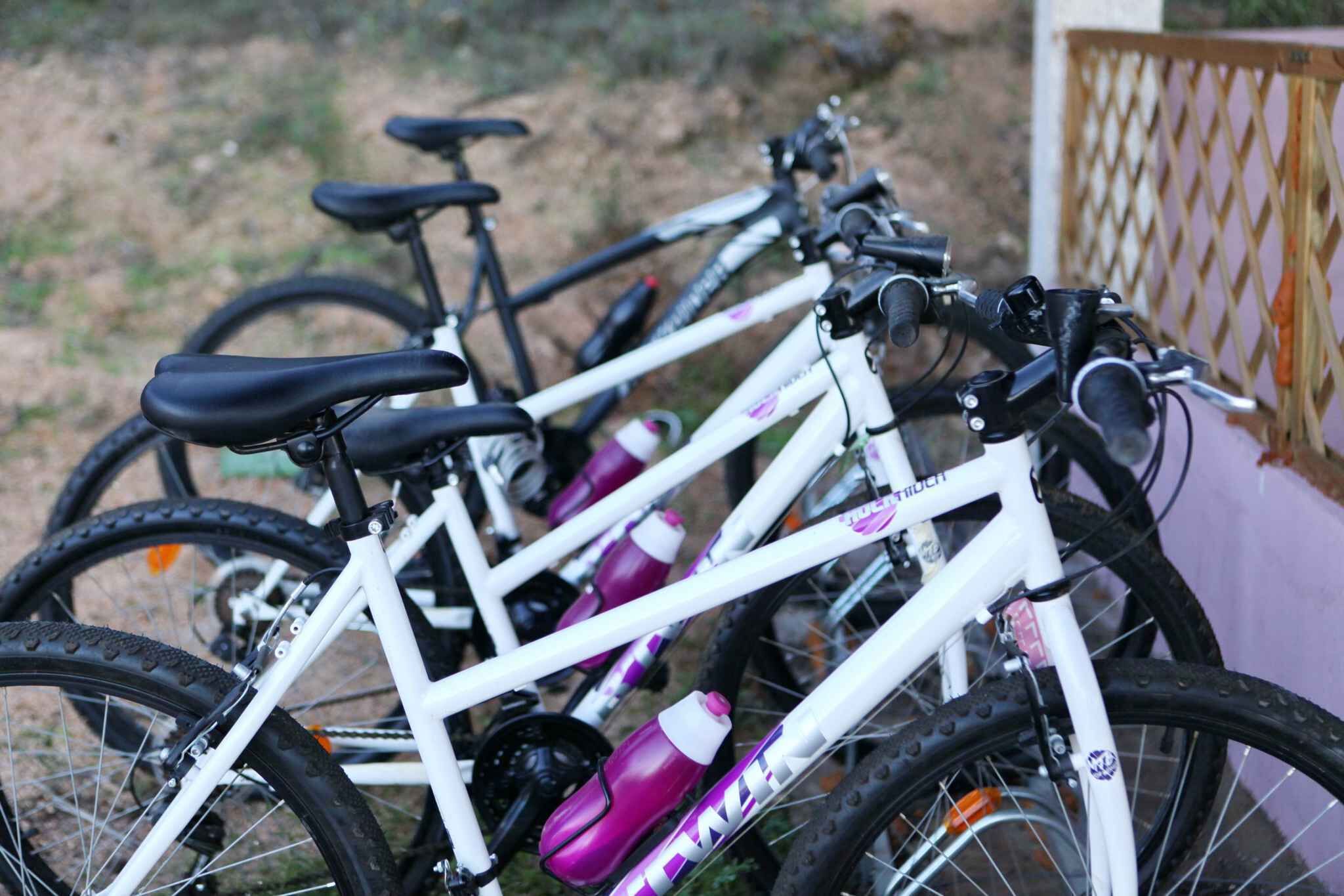 En rad cyklar står uppradade intill ett trästaket.