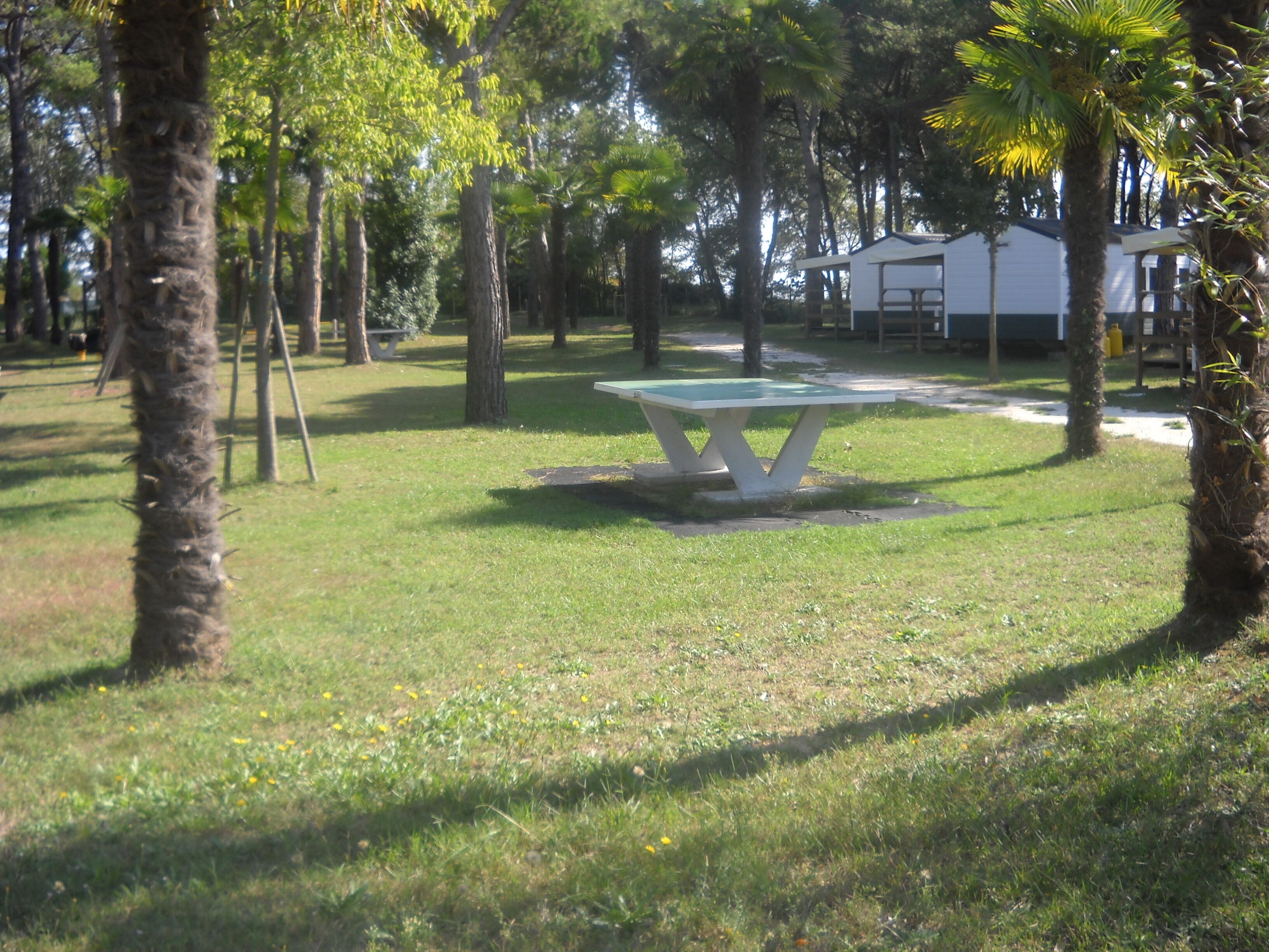Een picknicktafel in een gazon met bomen en een wit gebouw op de achtergrond.