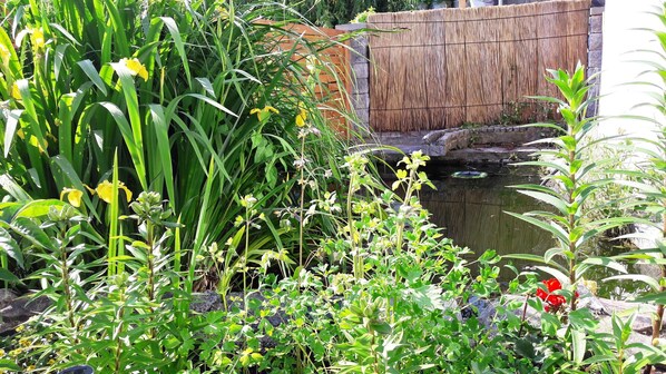 Unclassified image, 1 of 15, button