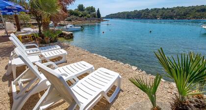 Schöne Wohnung in Punta Kriza