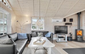 Télévision, cheminée, lecteur de DVD