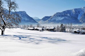 Unclassified image, 2 of 21, button