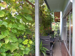 Unclassified image, 5 of 23, button