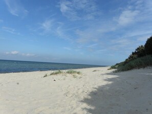 En sandstrand med klar himmel och stilla hav.