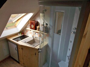 Shower, hair dryer, towels