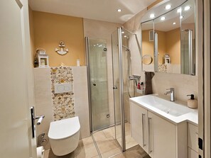 Shower, hair dryer, soap, toilet paper