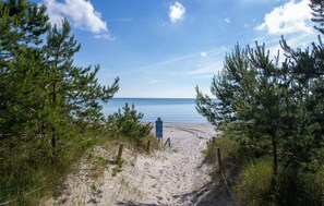 A sandy beach path leading to the ocean, surrounded by pine trees.