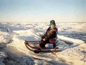 Uklassifisert bilde, 5 av 20, knapp