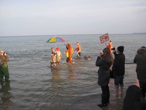 People in costumes in a body of water, some holding signs and umbrellas.