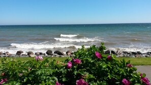 Una playa cerca