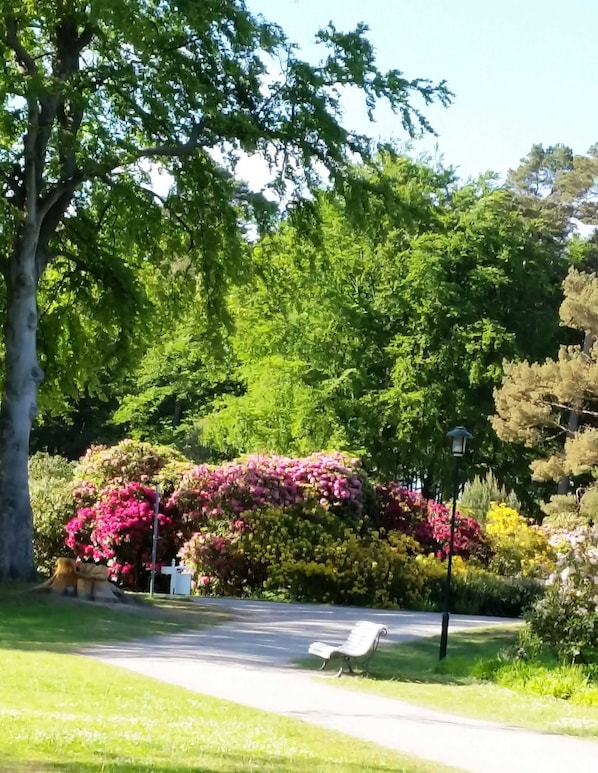 Un parque con un banco, árboles y diversas flores.