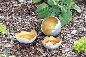 Unclassified image, 5 of 28, button