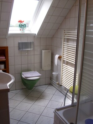 Ducha, secador de pelo, toallas, jabón