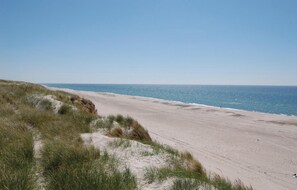En strand med klitter og frit udsyn til havet.