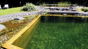 Una piscina rectangular con agua cristalina, rodeada de piedras y una terraza de madera.