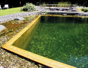 A rectangular pool with clear water, surrounded by pebbles and a wooden deck.