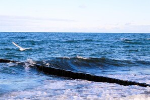 未分類的圖片,第 2 張,共 11 張,按鈕