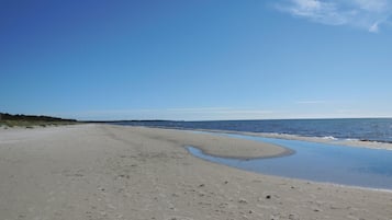 Ranta lähistöllä, kalastusmahdollisuus