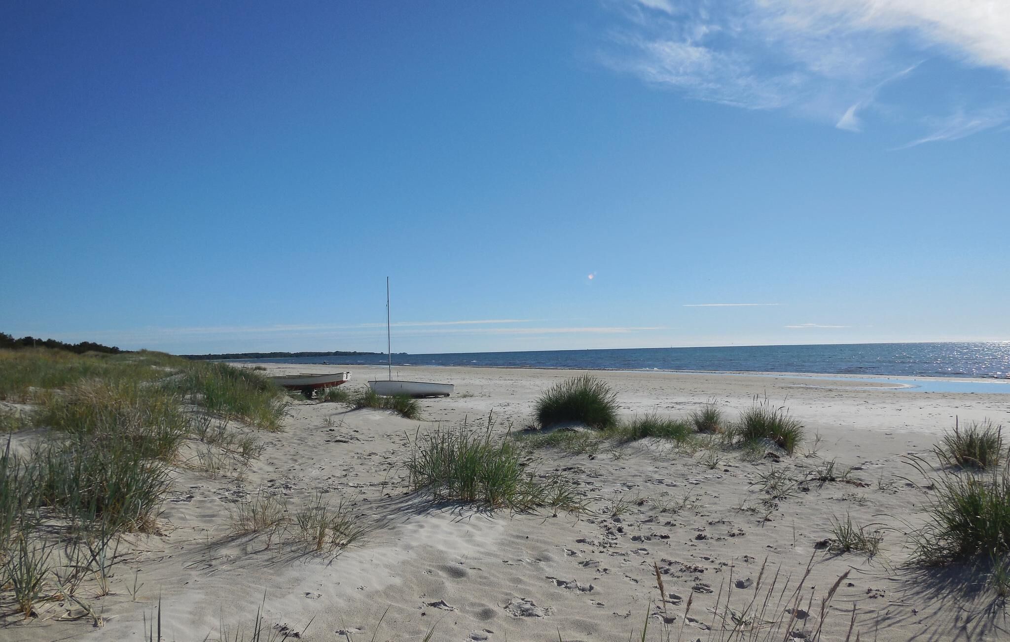 بالقرب من الشاطئ، صيد الأسماك