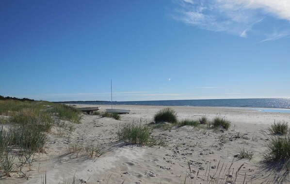 ビーチの近く、釣り