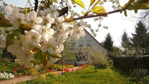 A garden with a variety of flowers and a house in the background. - Apartment 1 - Rügen-Fewo 249 (Sellin)