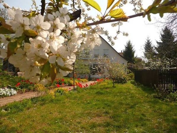 Imagen sin descripción, 1 de 10, botón