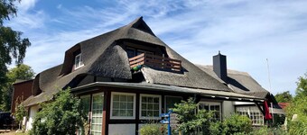 House 1795 Goldfinch