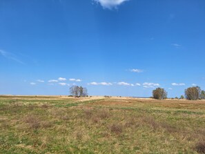 Unclassified image, 5 of 8, button