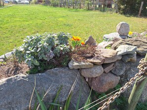 Unclassified image, 3 of 8, button