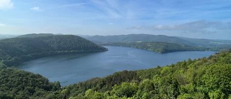 Una vista panorámica de un lago rodeado de colinas boscosas.