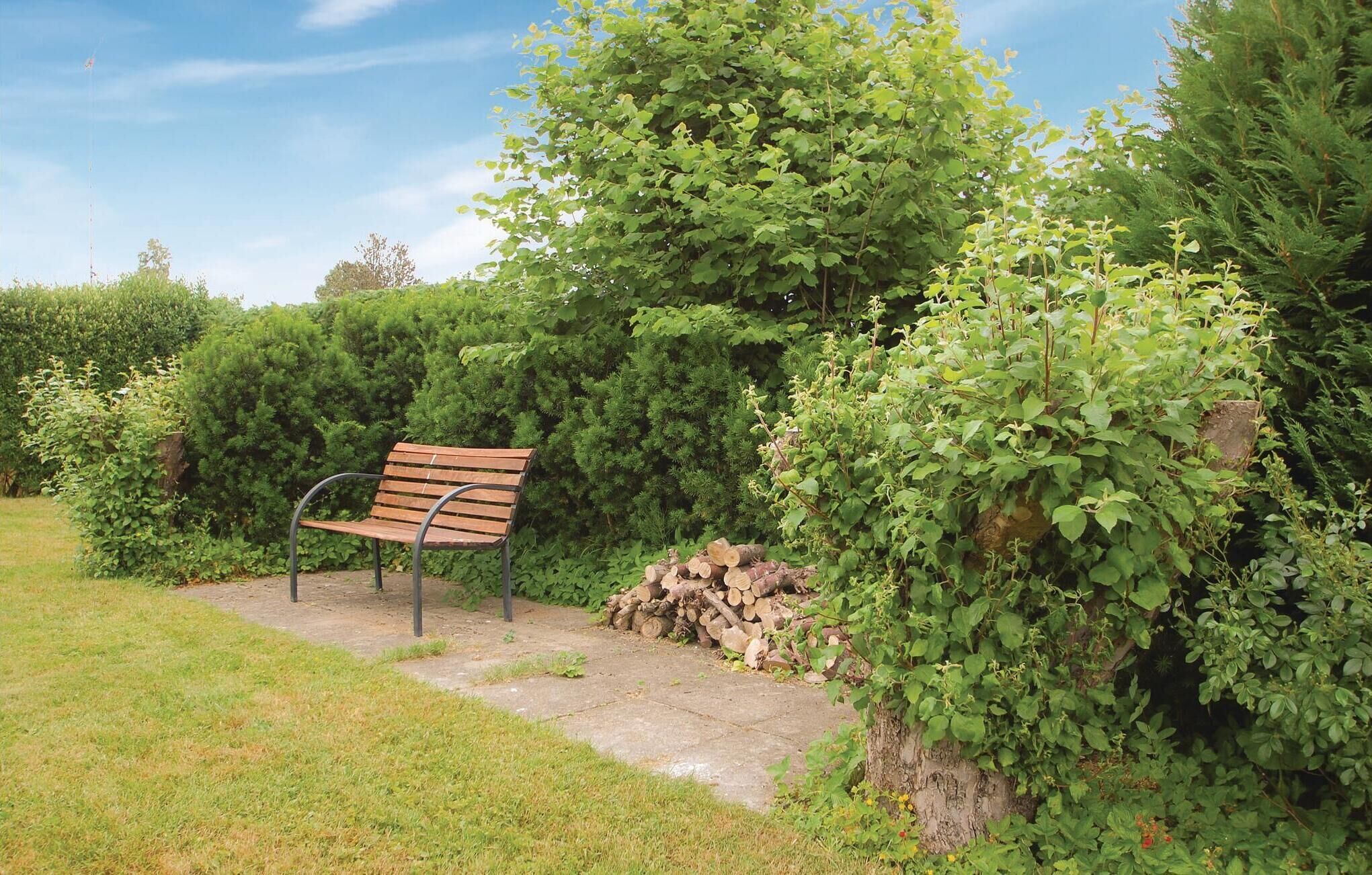A wooden bench in a garden with dense foliage and a pile of logs.