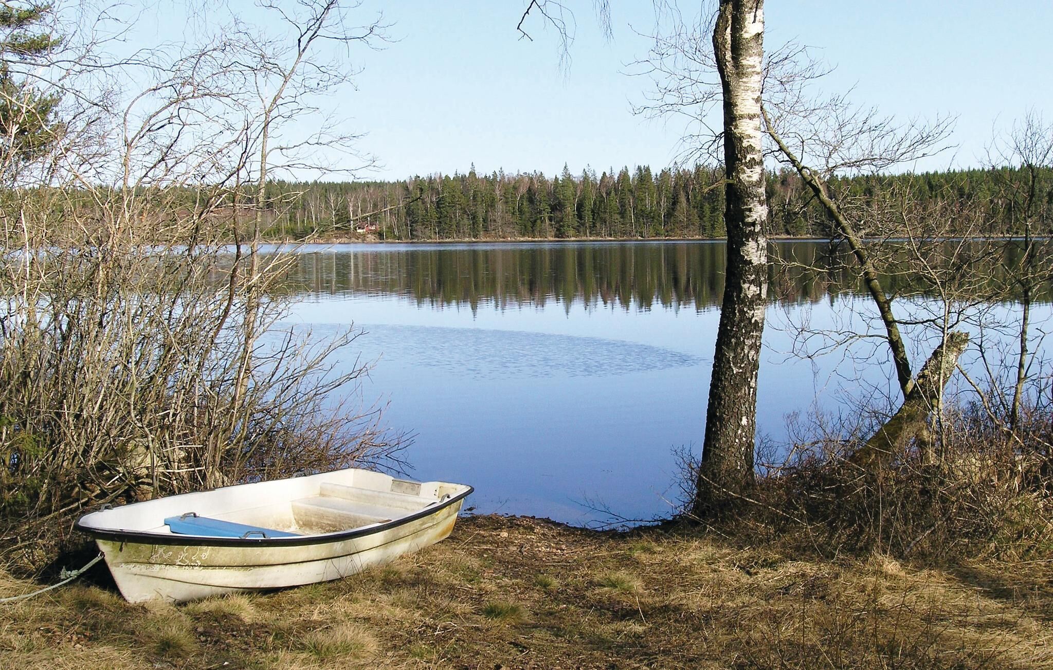 Un petit bateau est amarré à un arbre au bord d’un lac paisible, lui-même entouré d’arbres.