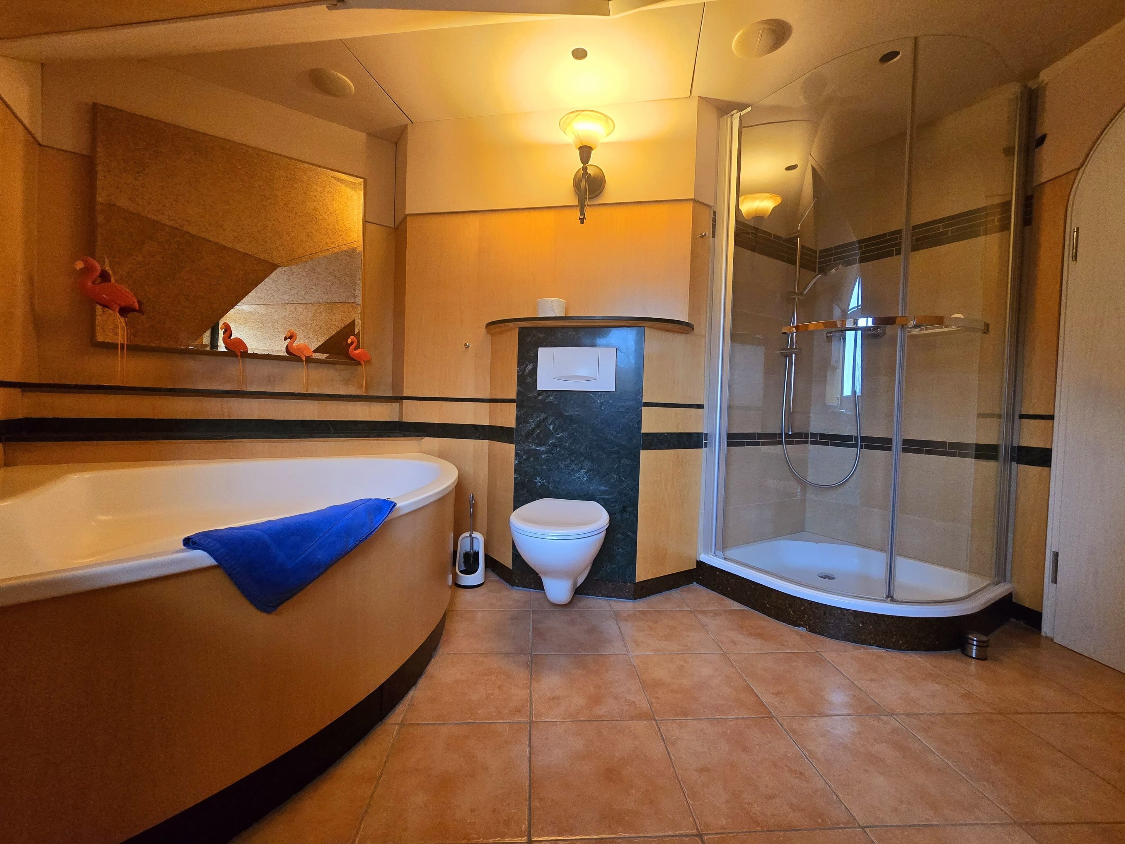 Shower, hair dryer