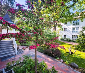 Imagen sin descripción, 3 de 16, botón