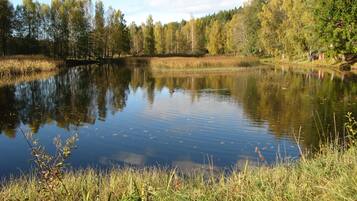 A calm lake surrounded by trees and grassy areas.