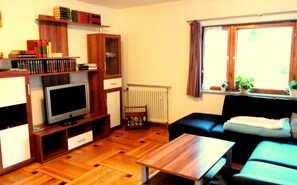 Fernseher, Kamin