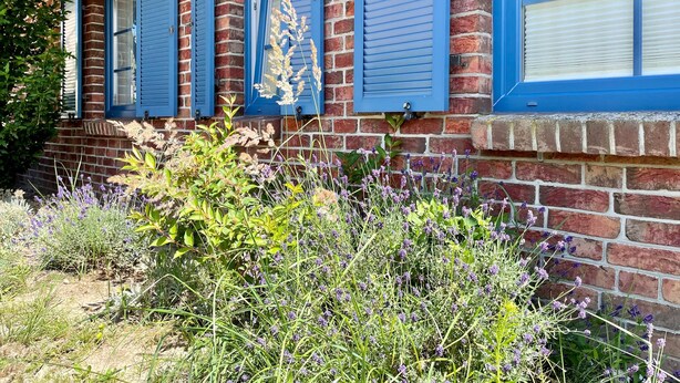 Ein Backsteinhaus mit blauen Fensterläden und einem Vorgarten.