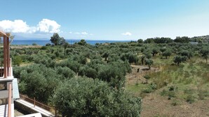 A view of a property with a terrace overlooking a landscape of olive trees and a distant sea.
