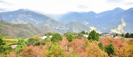 A mountainous landscape with autumn foliage and a small settlement in the valley.