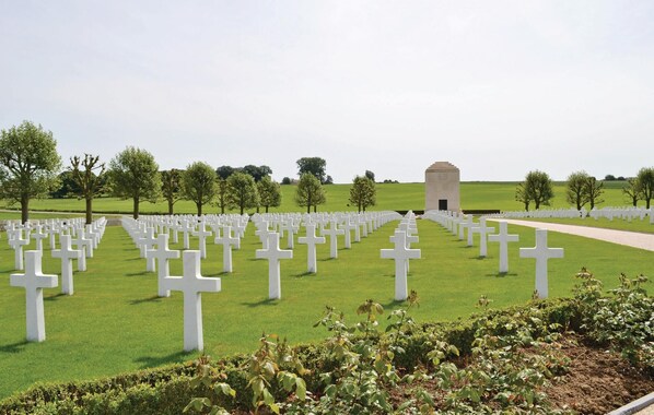 Property grounds - Les Renoncules des Champs (Roisel)