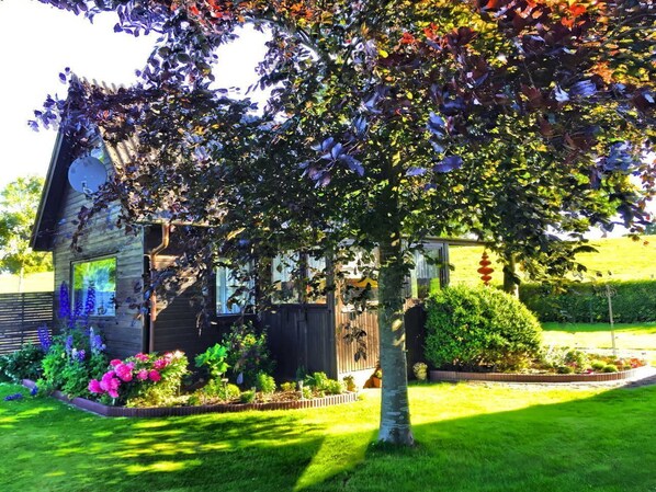 Property grounds - Pirate house in the Deichoase - Pirate house (Friedrichskoog)