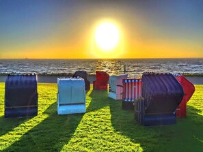 Property grounds - Pirate house in the Deichoase - Pirate house (Friedrichskoog)