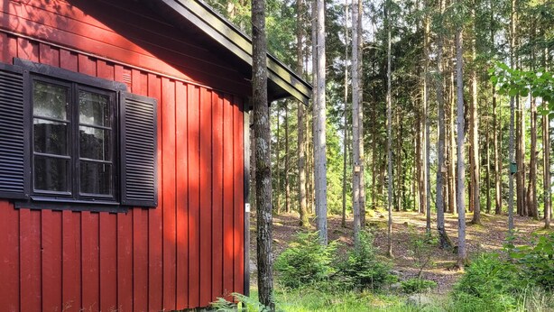 Una cabaña de madera roja con una ventana y una puerta, rodeada de un bosque.