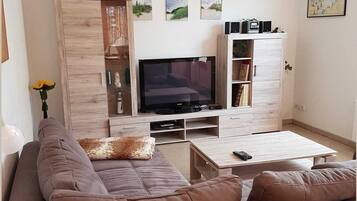 Fernseher, Stereoanlage