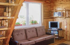 Televisión y chimenea 