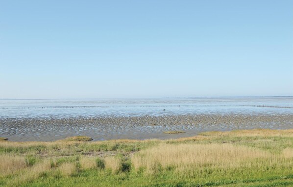 Tæt på stranden, fiskeri
