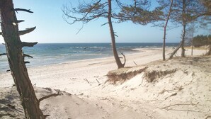 A sandy beach with trees and a clear view of the ocean. - Stunning home in Nexø with kitchen (Nexø)