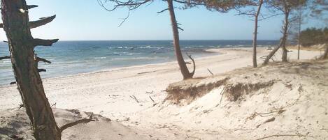 Plage à proximité