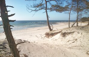 Playa en los alrededores