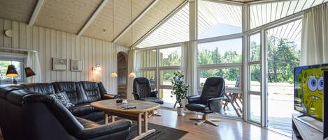 Télévision, cheminée, lecteur de DVD